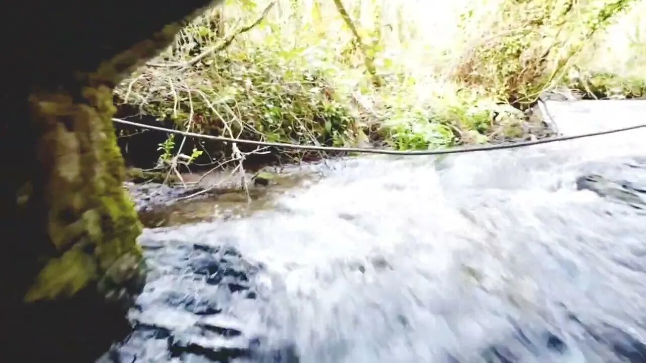 DJI MINI 2 Under the Bridge