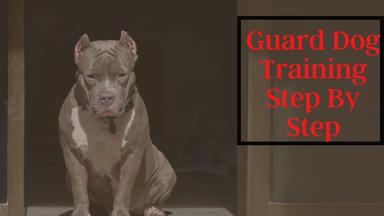 Guard Dog Training Step By Step