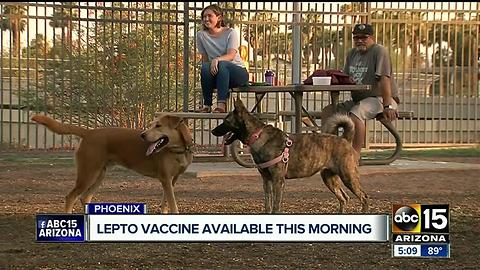 Lepto vaccine available Saturday morning in Phoenix