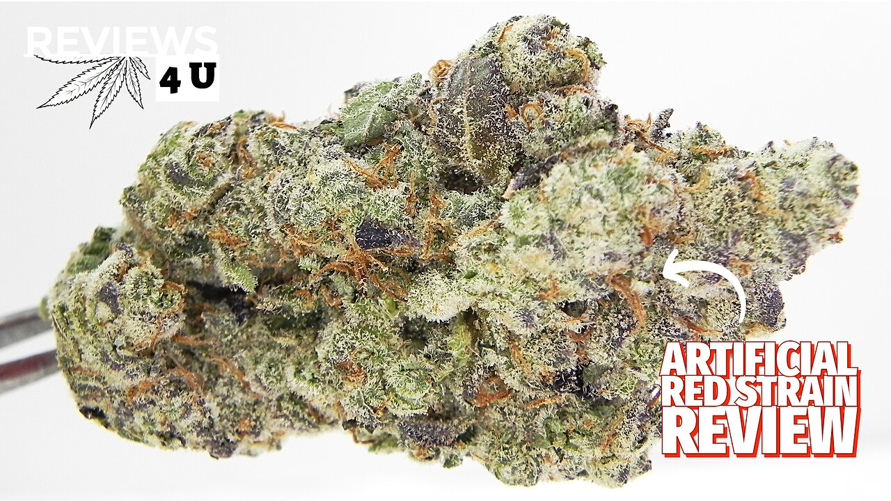 ARTIFICIAL RED STRAIN REVIEW | REVIEWS 4 U