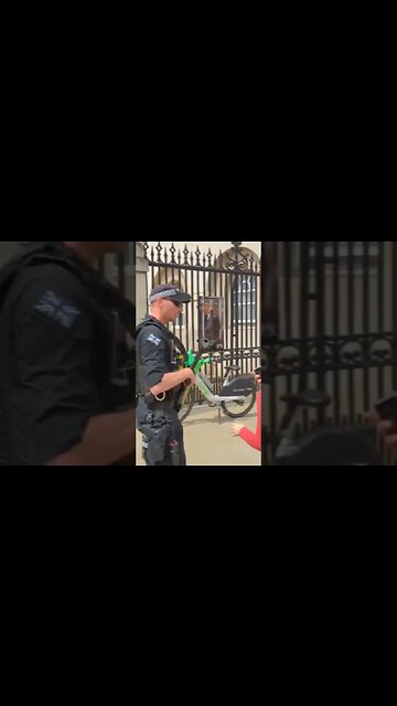 Police tell of tourists For touching the reins #horseguardsparade