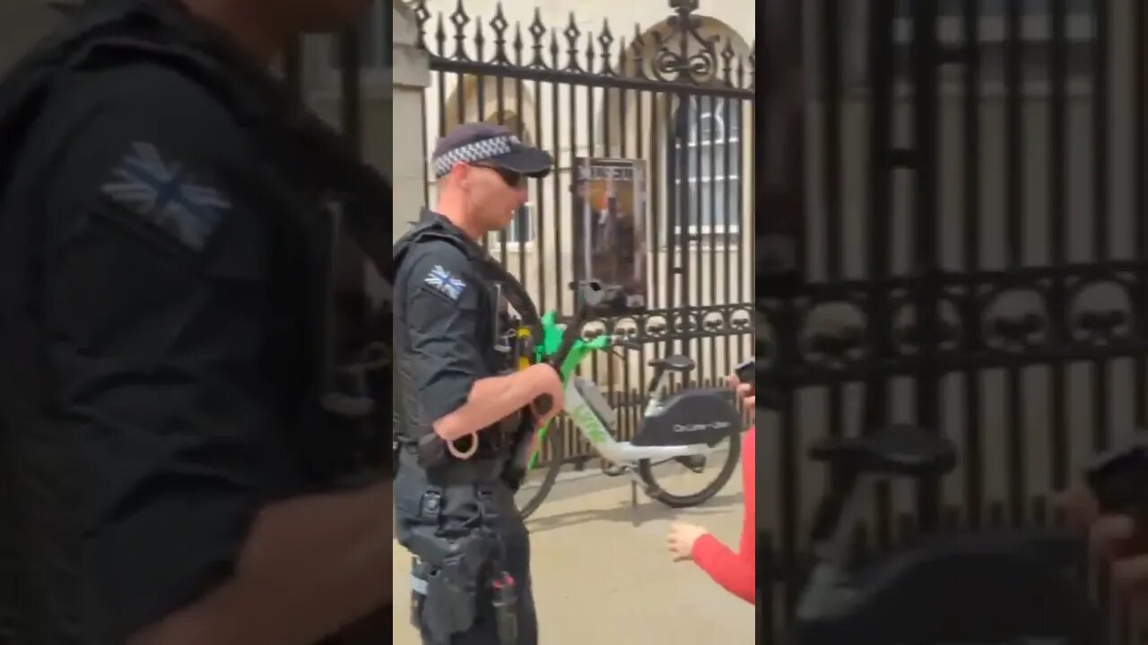 Police tell of tourists For touching the reins #horseguardsparade
