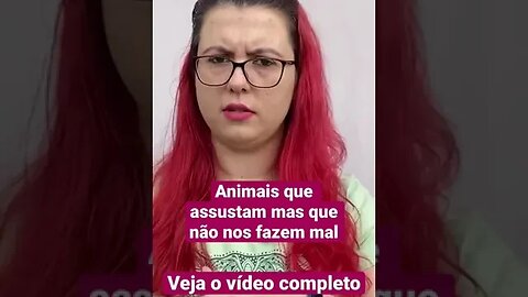 Animais que não são perigosos