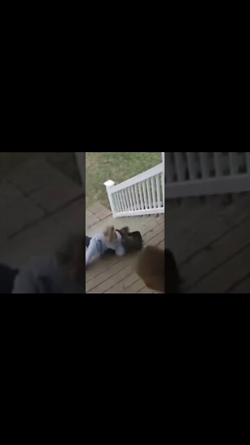 It’s too slippery #shorts #eldenring #youtubeshorts