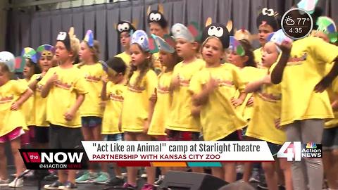 'Act Like an Animal' camp at Starlight Theatre