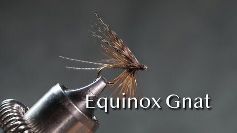 Equinox Gnat from Favorite Flies and Their Histories (1892) by Mary Orvis Marbury