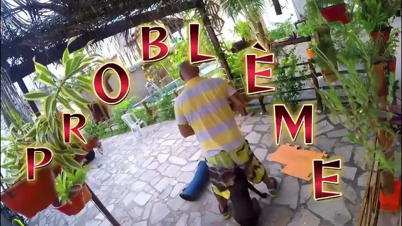 BÓIA TREINO DE AUTOCONTROLE