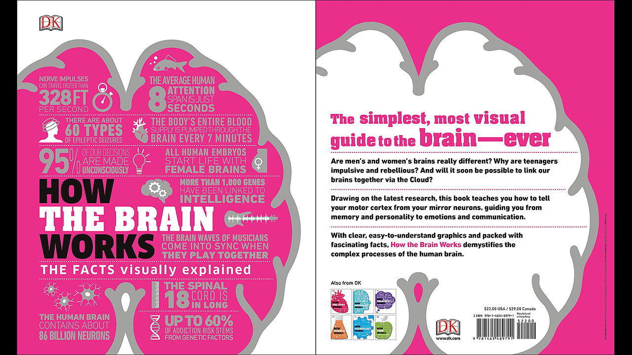 How the Brain Works: The Facts Visually Explained