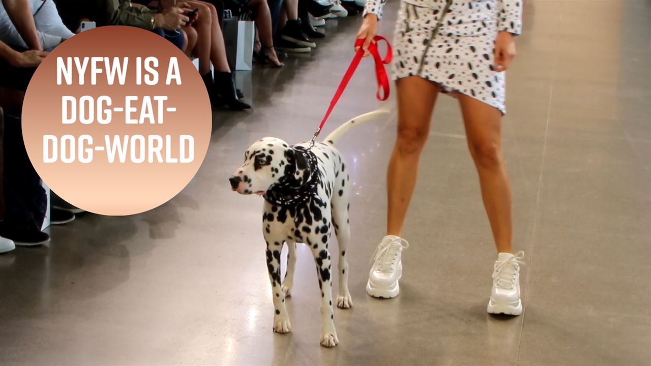 Dalmatian is the star model of Day 1 NYFW