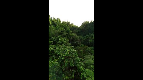 Exploring hidden waterfalls in fiji😍😍