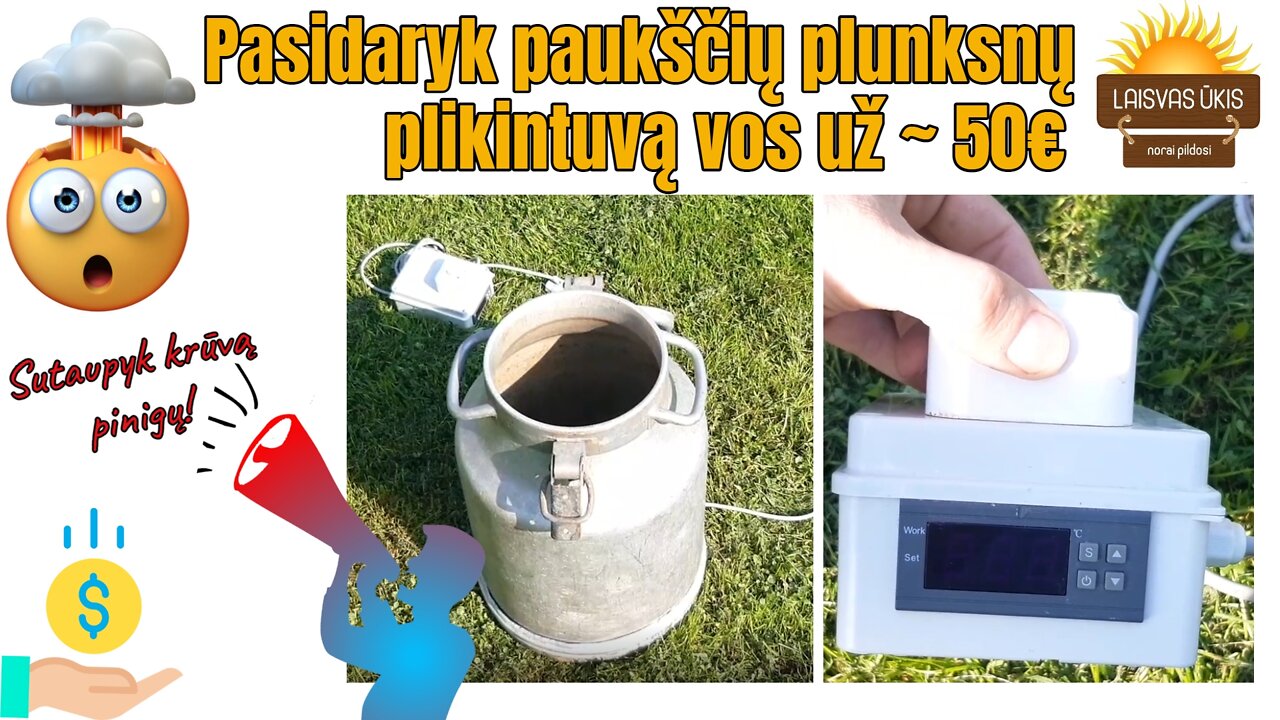 Sutaupykite krūvą pinigų! 🤑 Pasidarykite paukščių plunksnų plikintuvą vos už ~50€