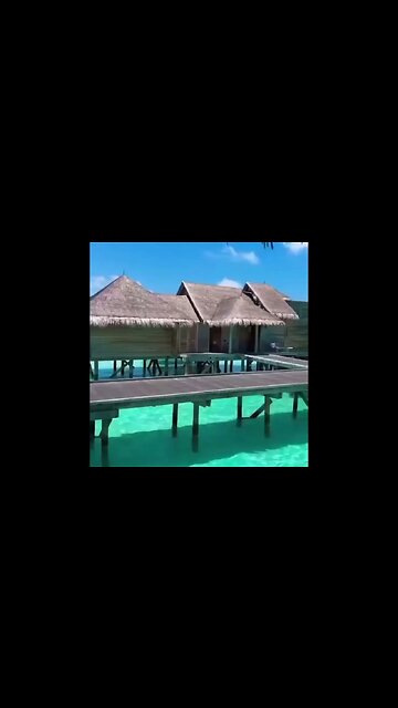 Breathing In The Serenity Of The Seaside Breeze,