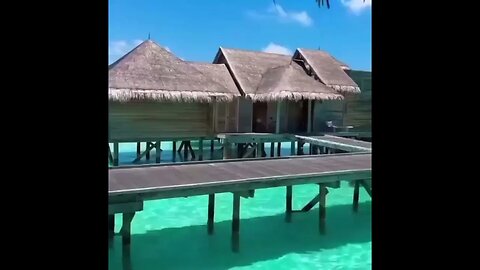 Breathing In The Serenity Of The Seaside Breeze,