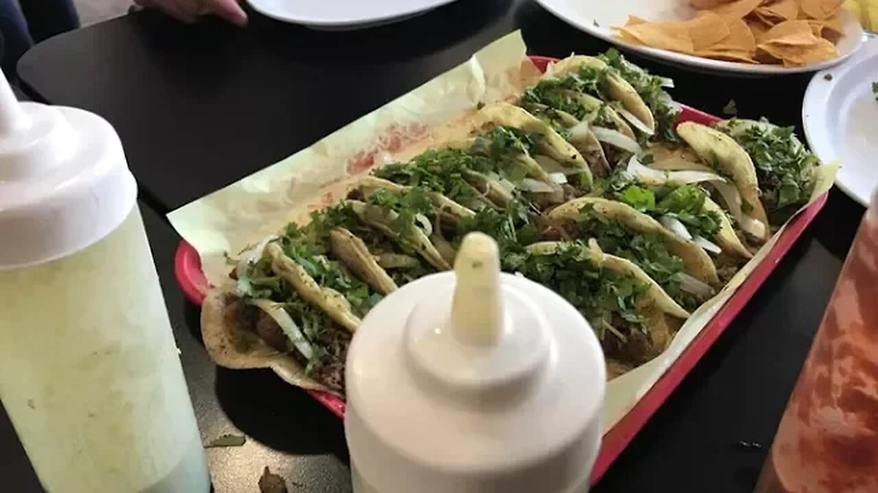 VLOG 230: more tacos... seriously..