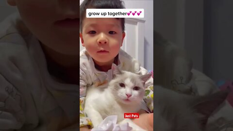 Best Friends Forever #cute #tiktok #funnyanimals #funnyvideos #cat