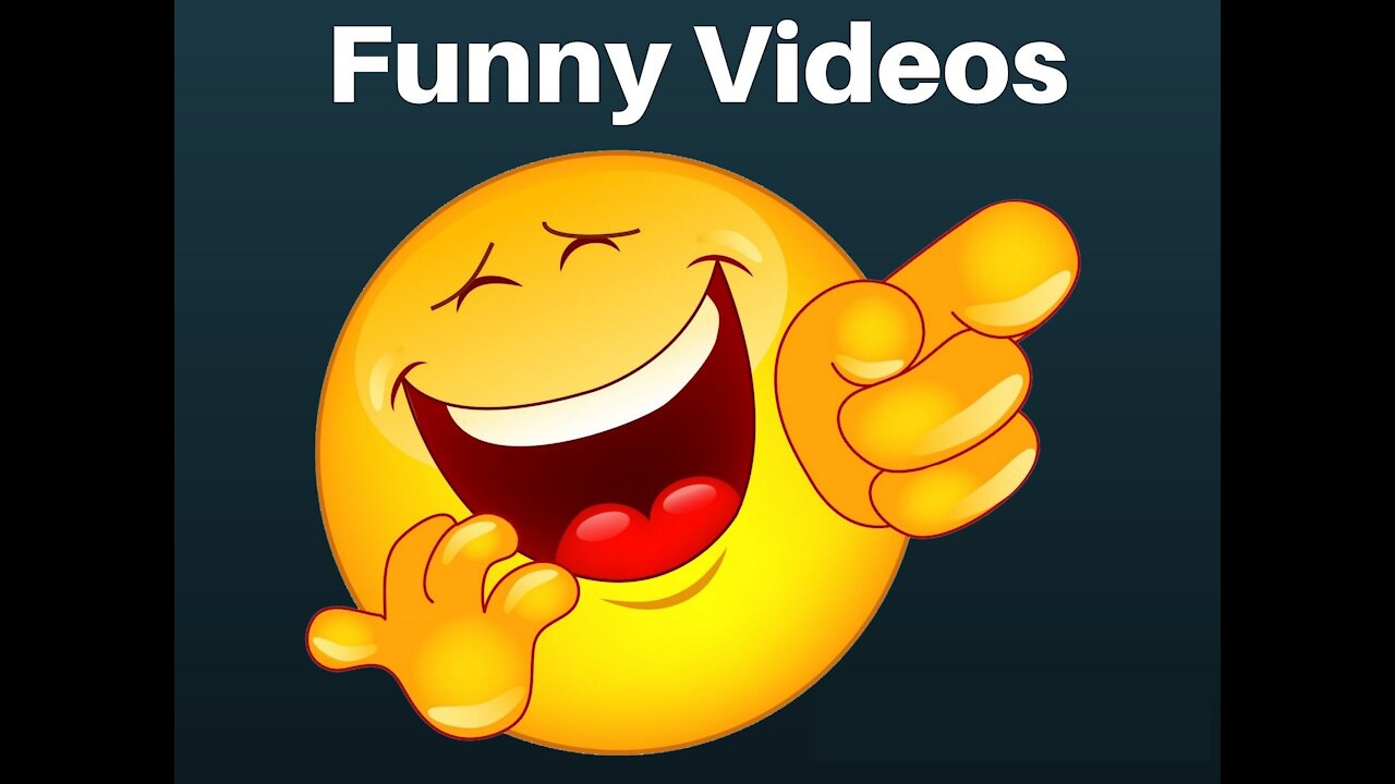 Top Funny Videos Of 2021