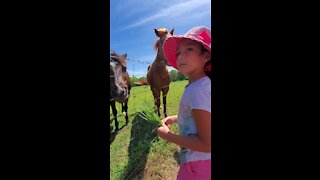 Castillo family at the strawberry farm