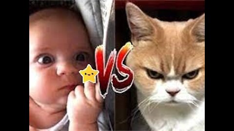 Cats Meeting Babies for the FIRST Time new video