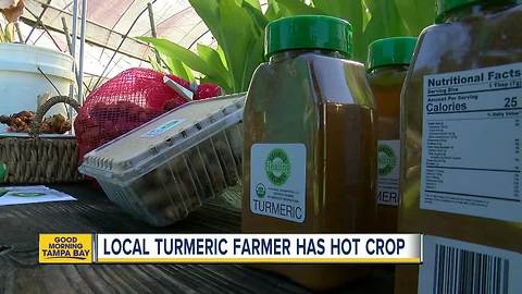 Florida farmer believes turmeric can heal you