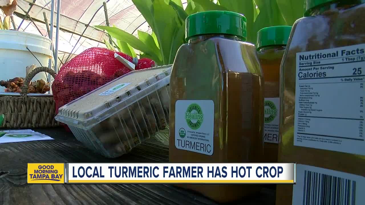 Florida farmer believes turmeric can heal you