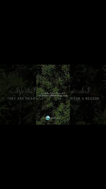 Romantic Quotes on Love #shorts #short #shortsyoutube #bookiva8508 #bookiva