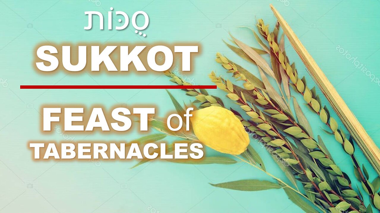 Sukkot | The Feast of Tabernacles | Torah Menorah