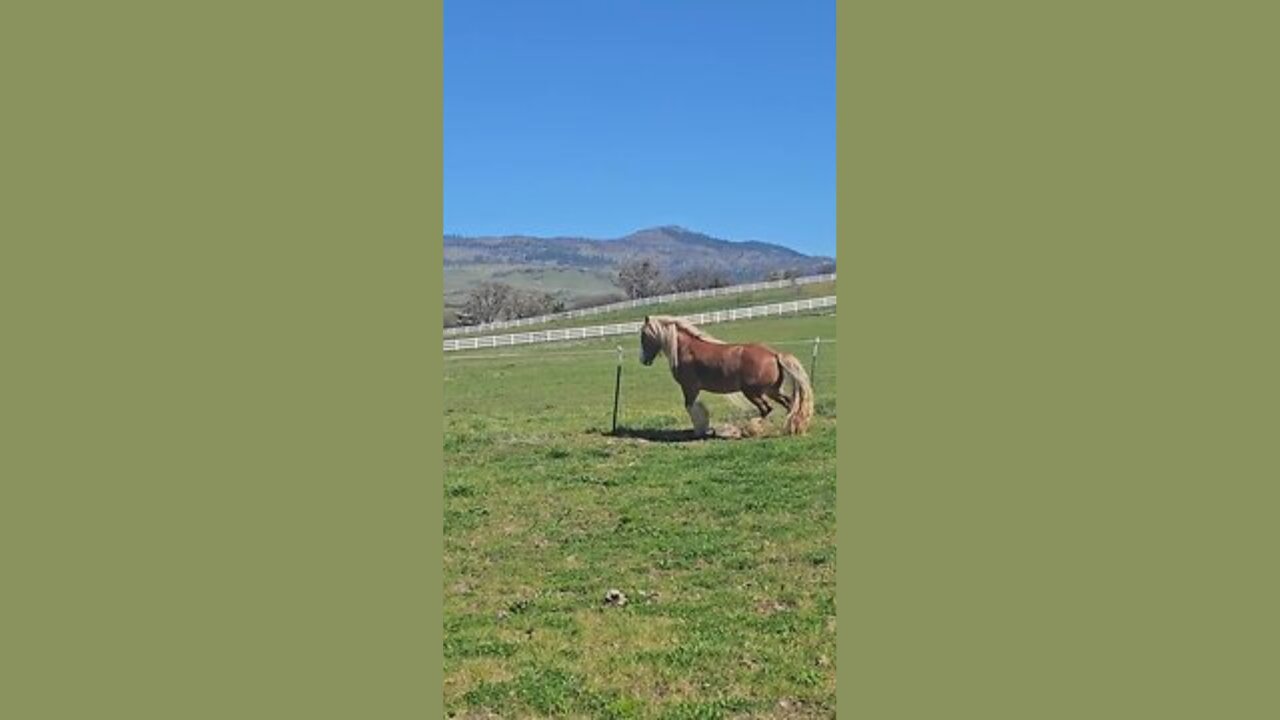 Enjoying A Sunny Day☀️😊