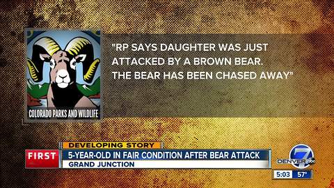 5-year-old girl suffers serious injuries in Grand Junction-area bear attack