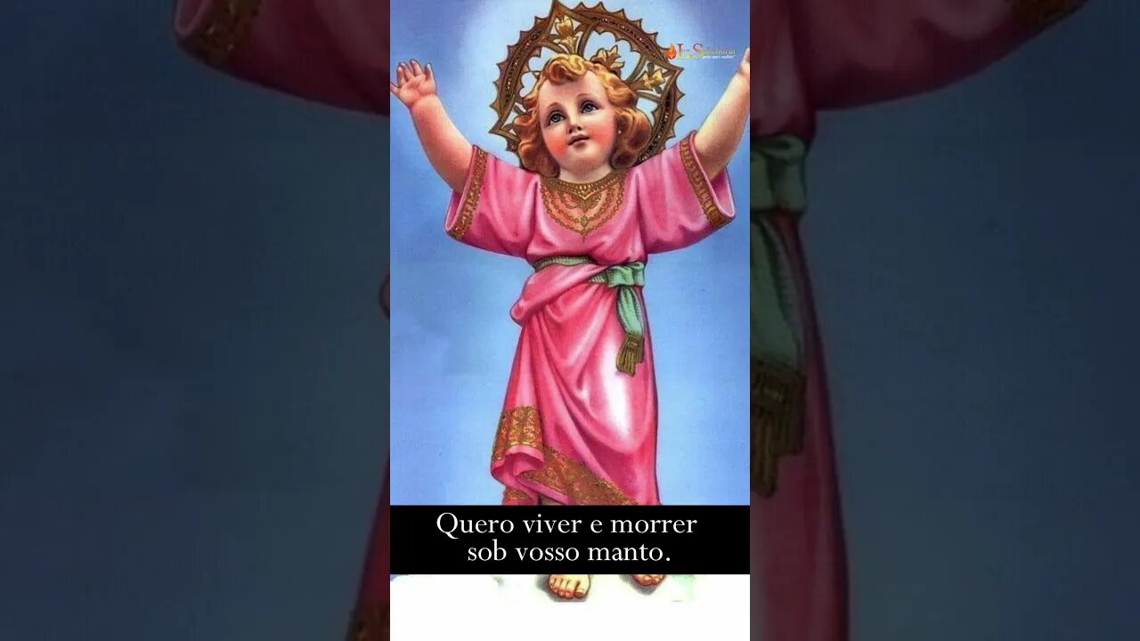 PEÇA AS GRAÇAS QUE VOCÊ PRECISA NESTE MINUTO COM O MENINO JESUS