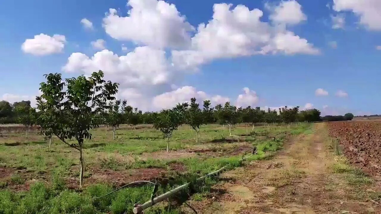 1 ώρα με τον Αντύπα