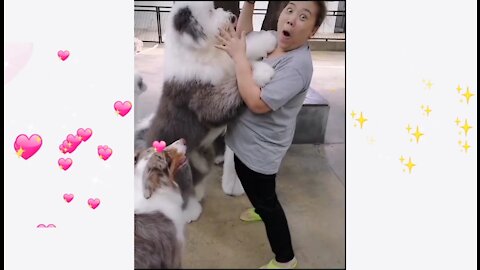 💗Cute And Funny Pets | Kesakiminie