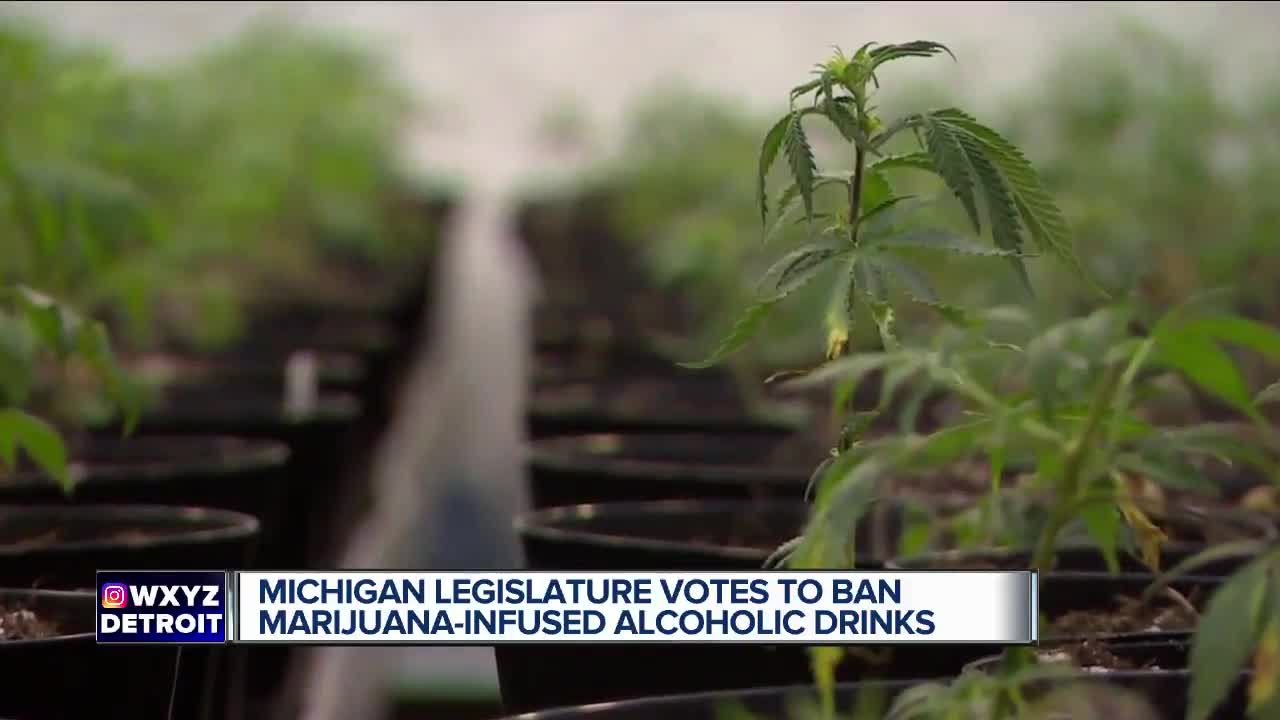 Michigan Legislature votes to ban marijuana-infused beer
