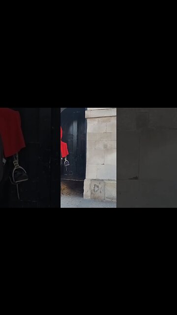 The Horse moved run #horseguardsparade