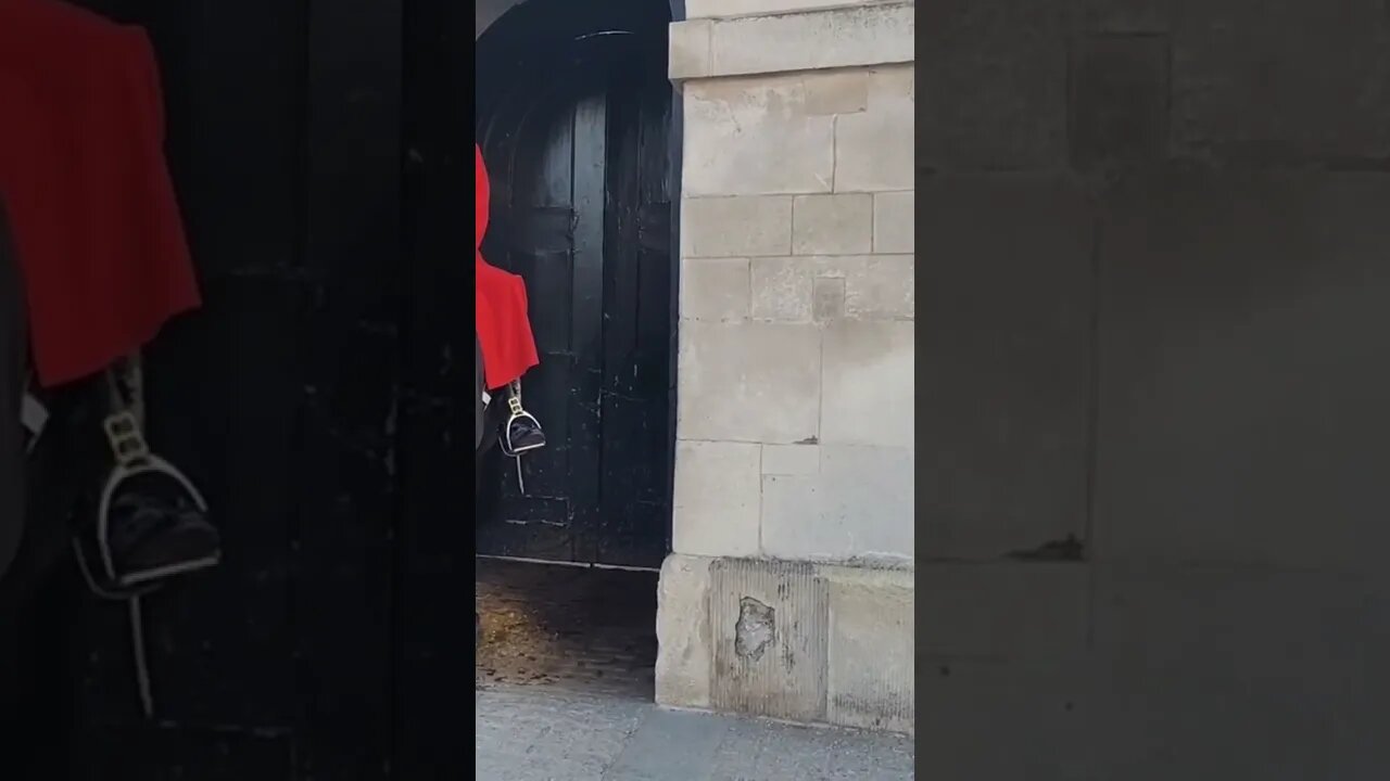 The Horse moved run #horseguardsparade