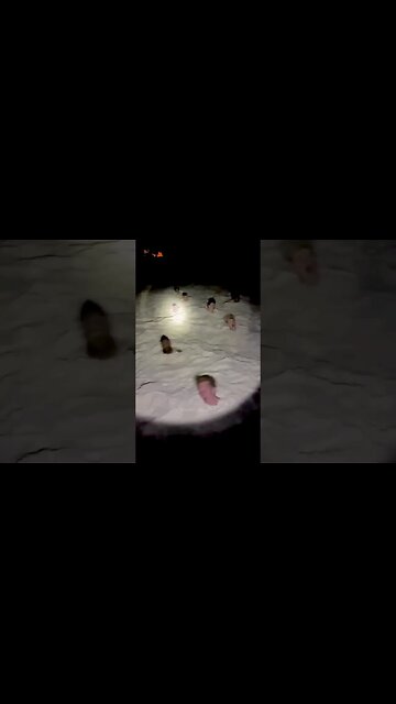 Big fails 🤣🤣🤣 #shortsfails #shortvideo #failsvideo