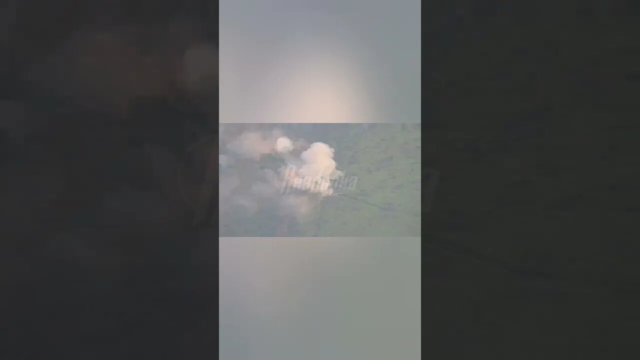 2 Leopards Got Destroyed by Russian Artillery in Zaporozhye Direction.👍