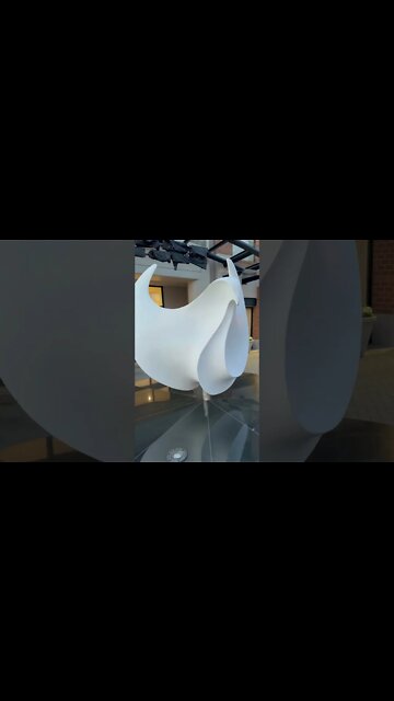 Eagle and Dove Mixed Art