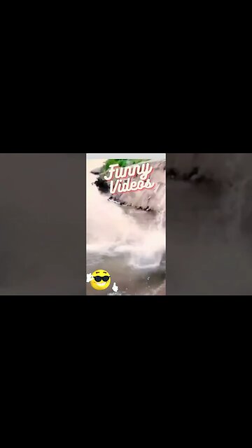 Funny videos #shorts