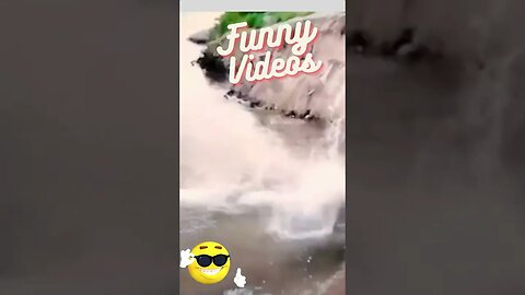 Funny videos #shorts