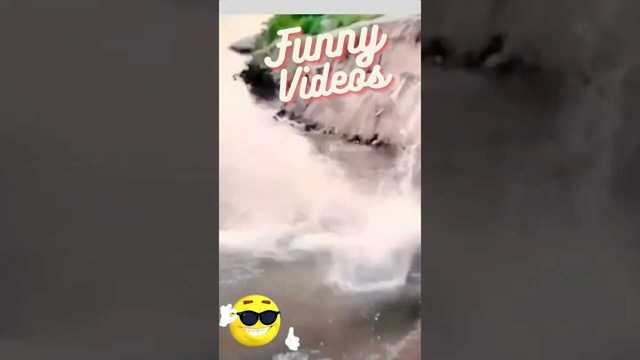 Funny videos #shorts