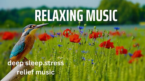 Relaxing Music,, Meditation Music, Sleep Music Deep Sleeping