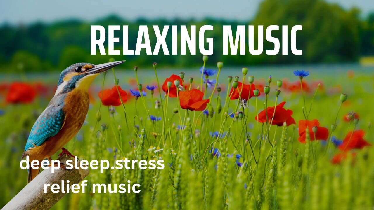 Relaxing Music,, Meditation Music, Sleep Music Deep Sleeping