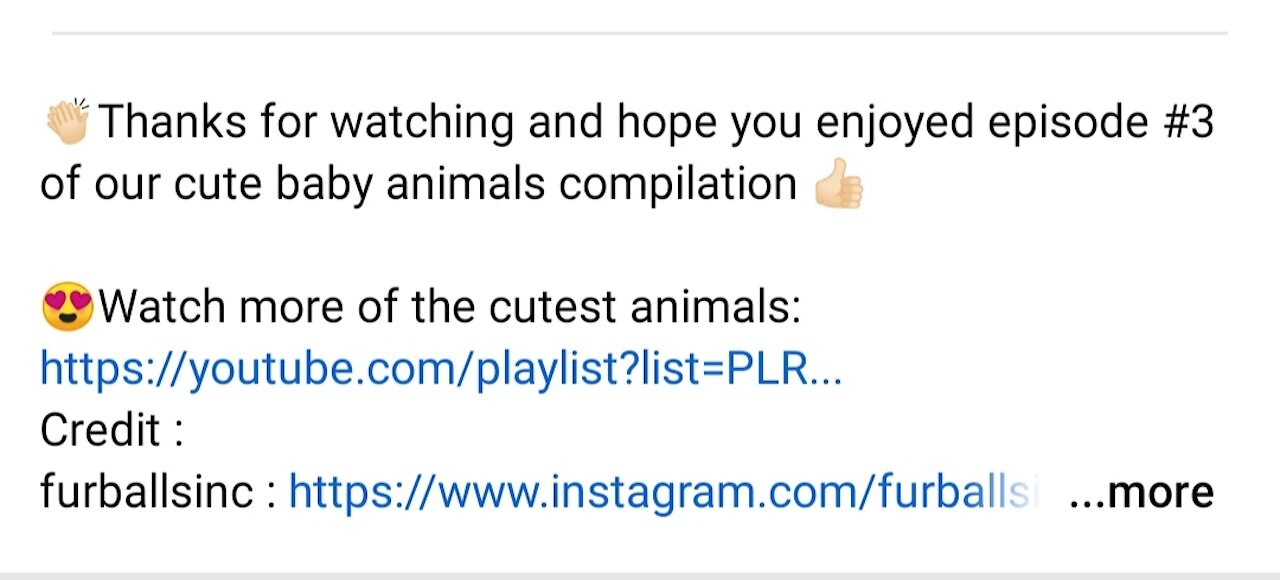 Cute baby animals 0 Compilation cutemoment of the animals