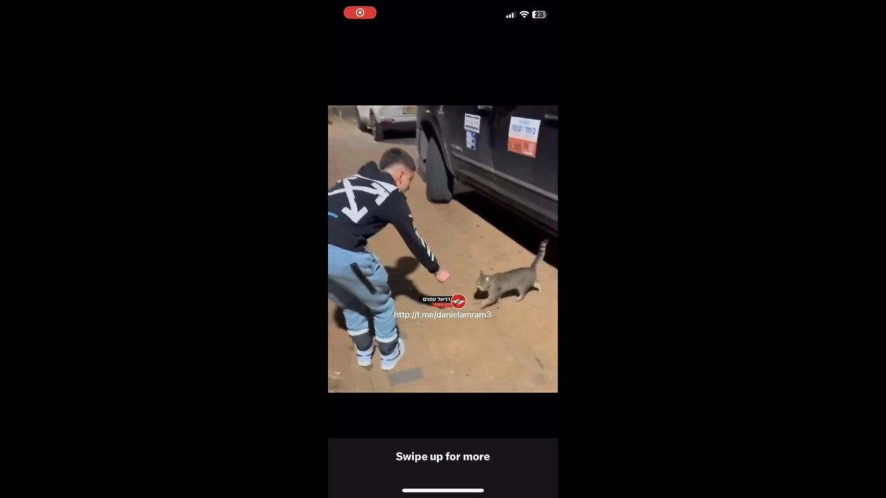 Zionist Jews, kicking a cat