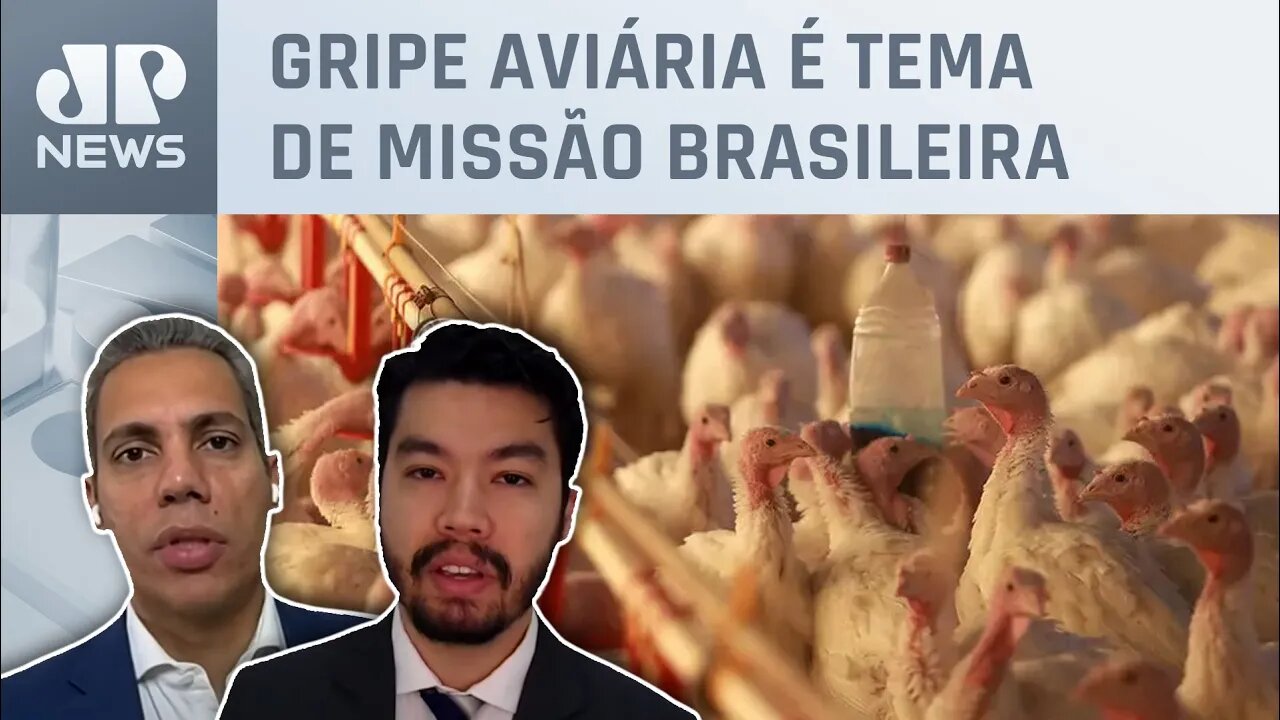 Ministério da Agricultura conseguirá reverter embargo do frango pelo Japão? Kobayashi e Holz debatem