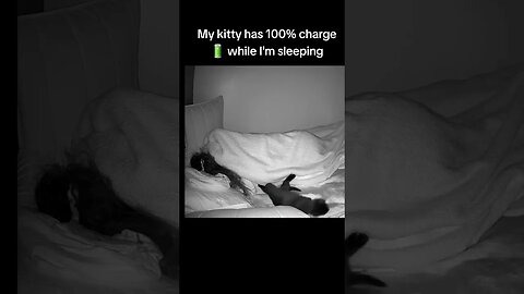 My kitty 100% charge while I'm sleeping #short #cats #fyp #cats #kitty #fly #blackcatsaregoodluck