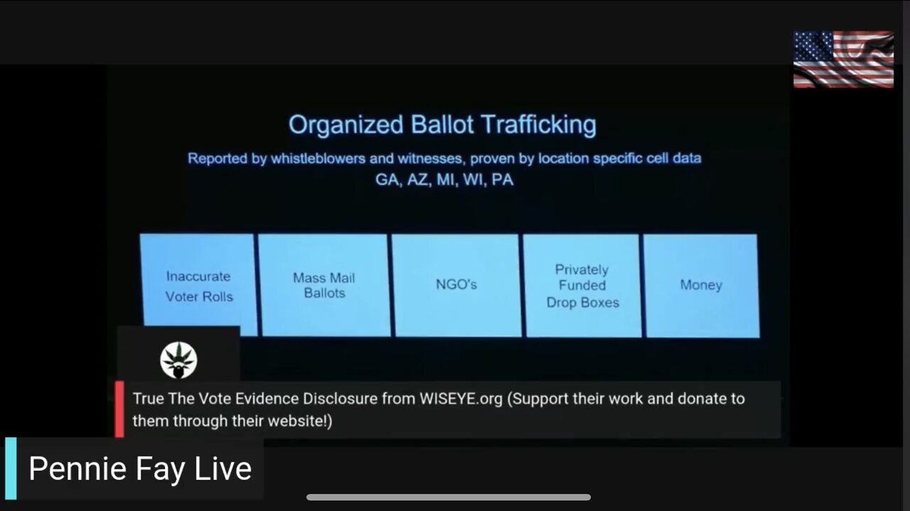 Wisconsin Election Hearing - Russian Collusion - Hunter's Lap Top - DOJ - FBI - 3/24/22