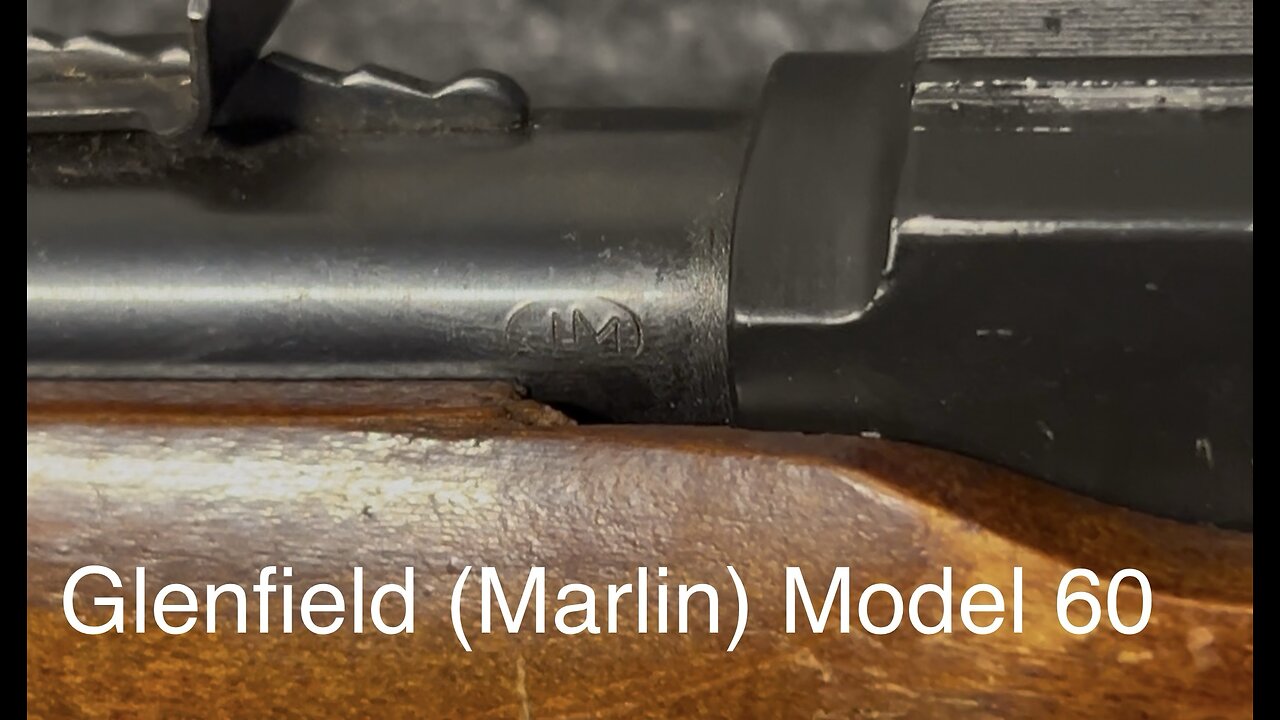 (Marlin) Glenfield Model 60- don’t pass these up!