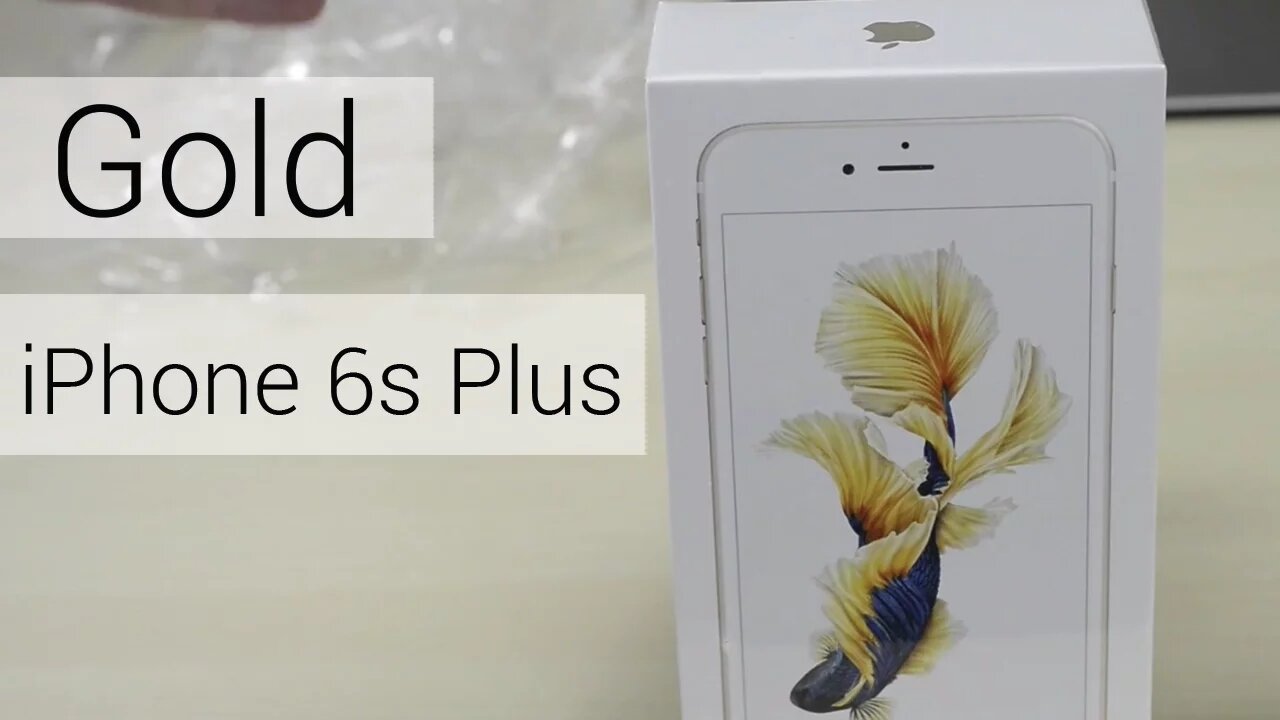 iPhone 6s Plus Gold - Unboxing & First Look!