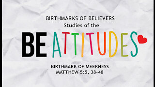 The Birthmark of Believers, Part 3: The Birthmark of Meekness